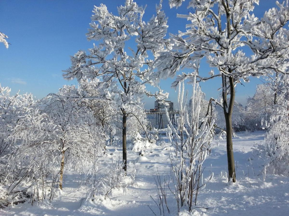 Ferienwohnungen Luge - Вінтерберг Номер фото