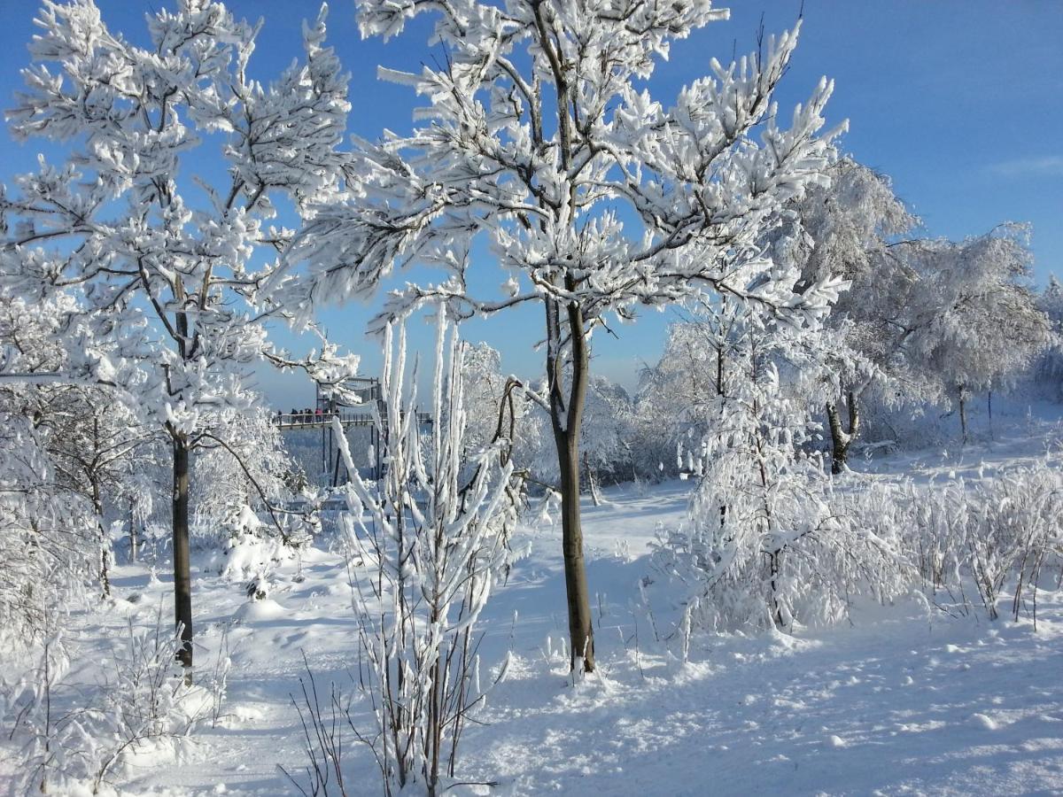 Ferienwohnungen Luge - Вінтерберг Номер фото